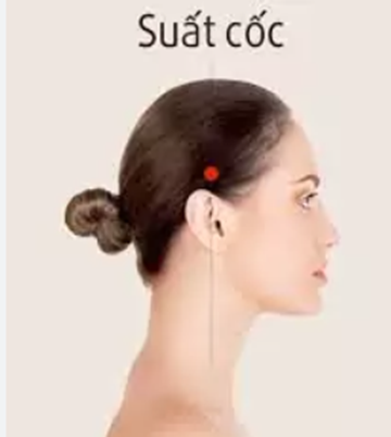 GỘI ĐẦU DƯỠNG SINH