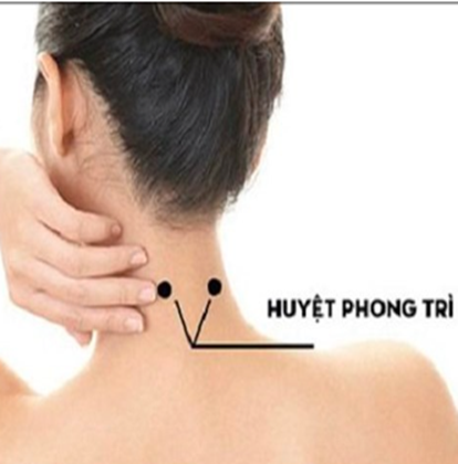 GỘI ĐẦU DƯỠNG SINH