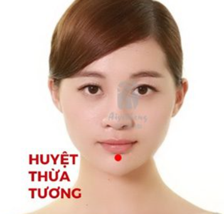 GỘI ĐẦU DƯỠNG SINH
